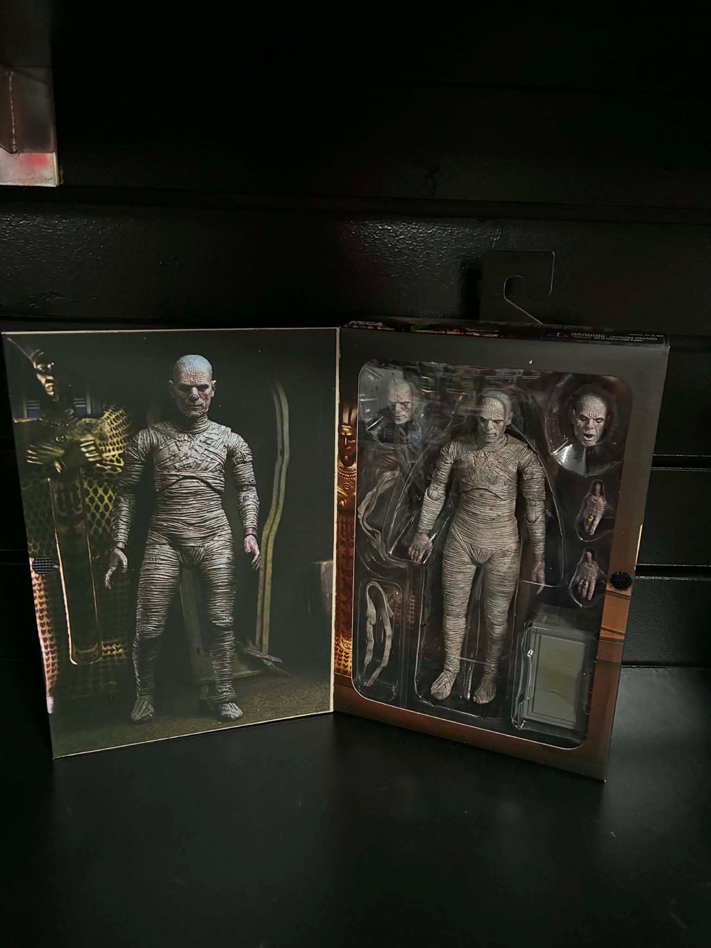 The Mummy - Karloff Action Figure