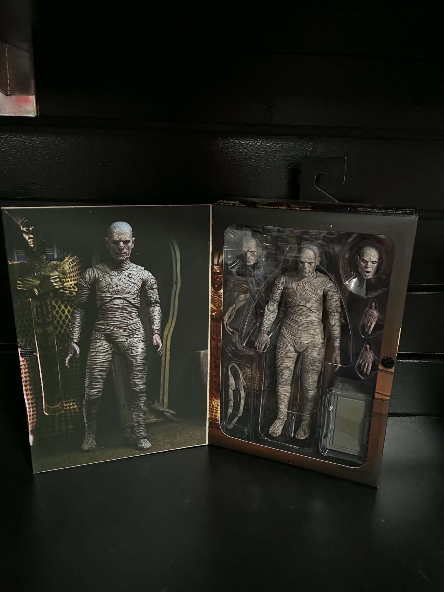 The Mummy - Karloff Action Figure