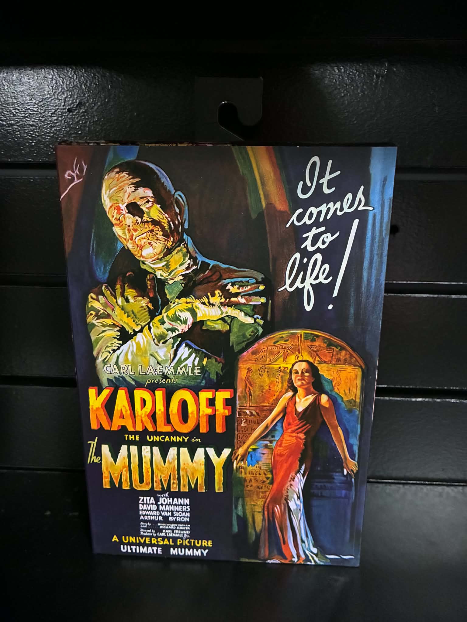 The Mummy - Karloff Action Figure